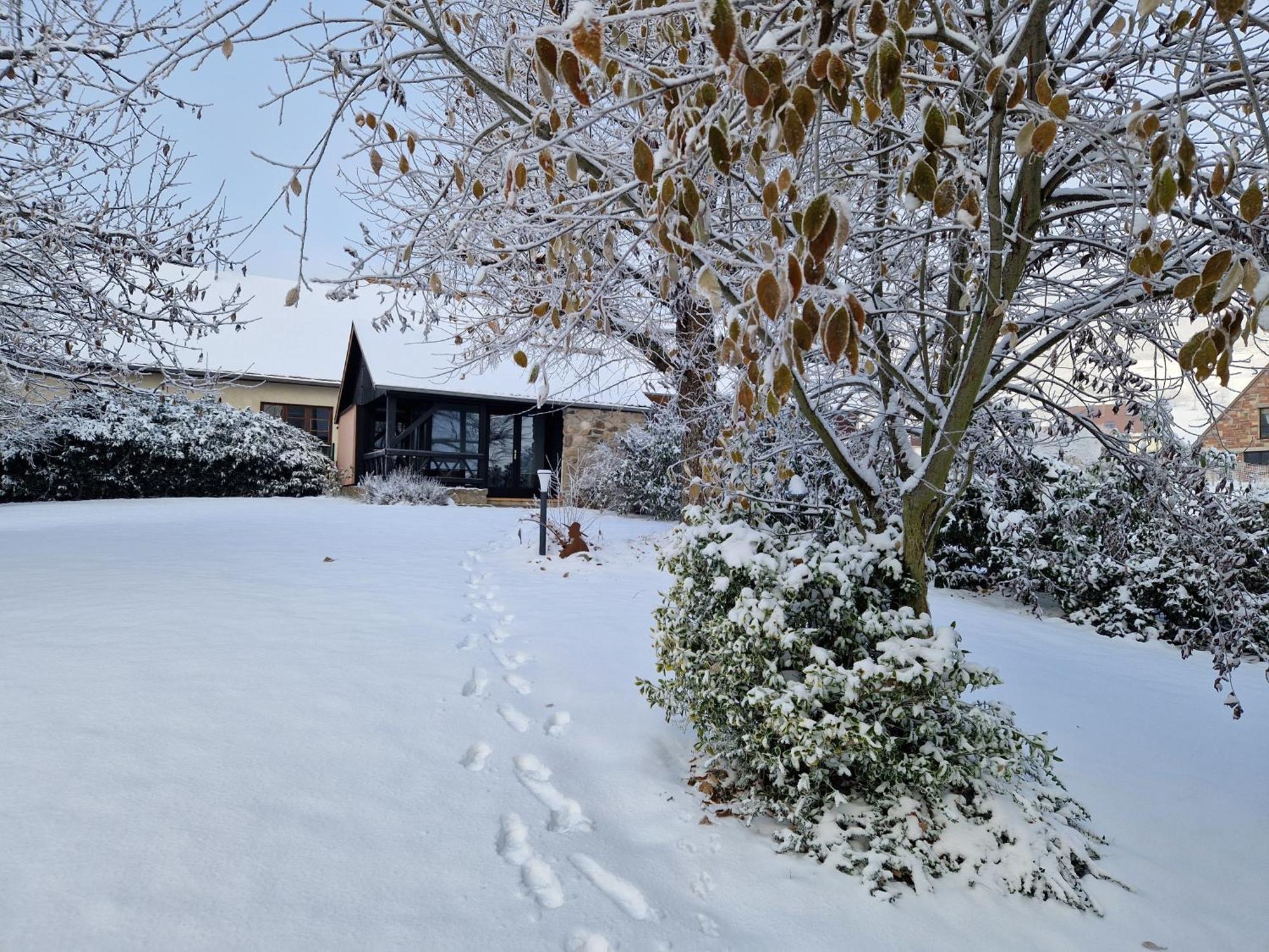 Le Breit Maison De Charme Avec Sa Dependance Holiday home