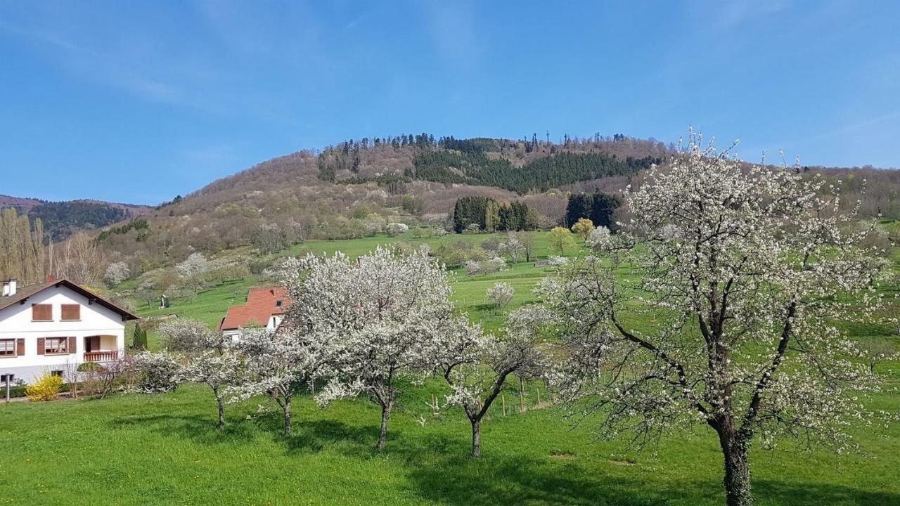 Holiday home Le Breit Maison De Charme Avec Sa Dependance Breitenbach