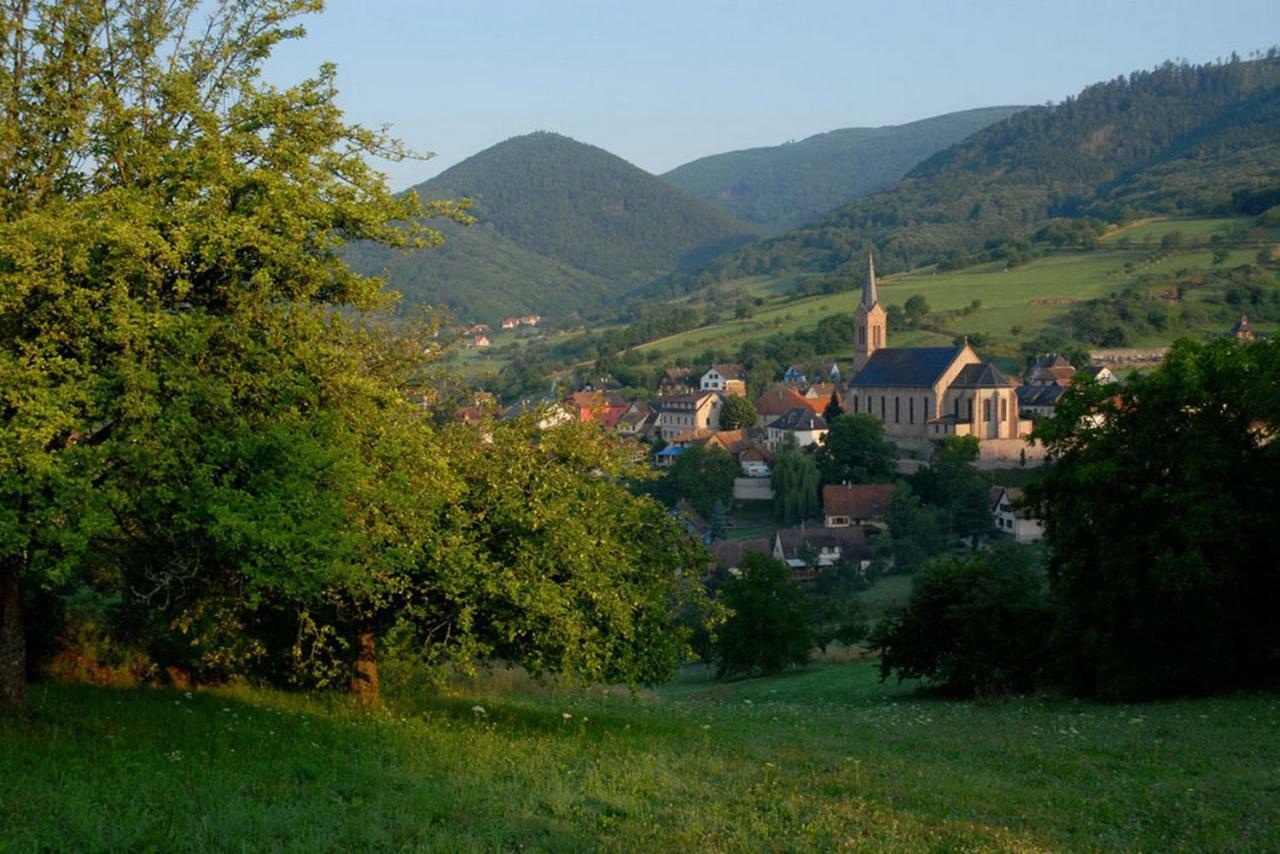 Le Breit Maison De Charme Avec Sa Dependance * Breitenbach